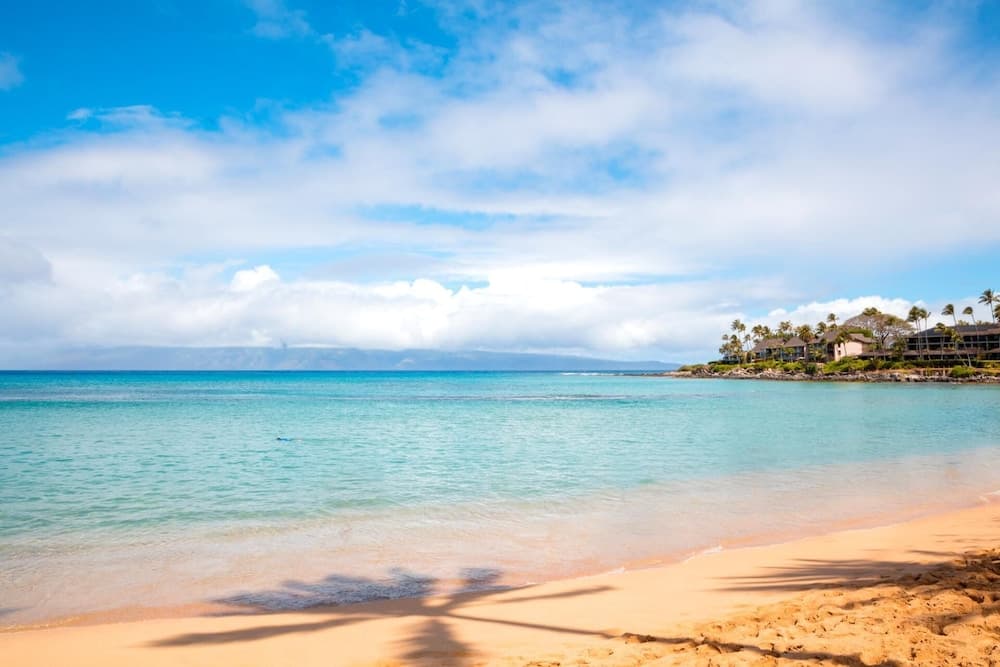 Napili Bay Residence #C11 - Image 3