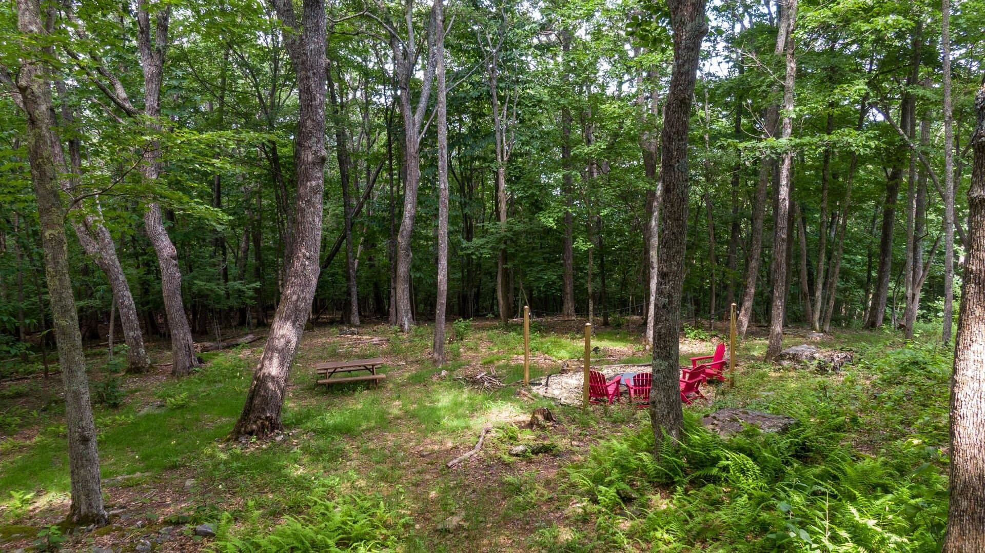 Adventure Creek - Image 24