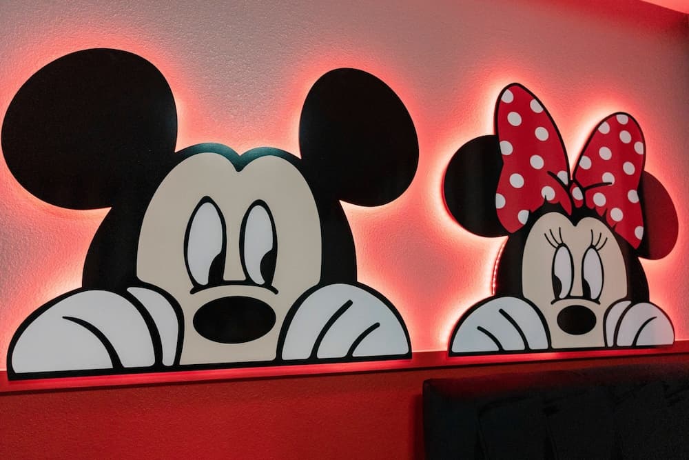 Grand Fantasy at Windsor Island - Image 50