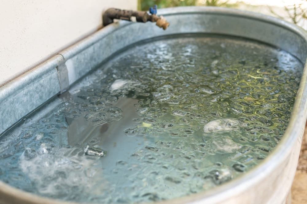 Palo Verde Experience - Image 41