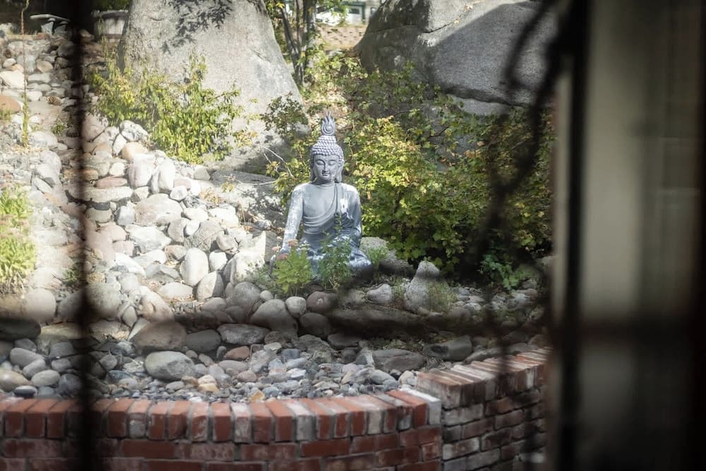 Zephyr Cove Zen - Image 41