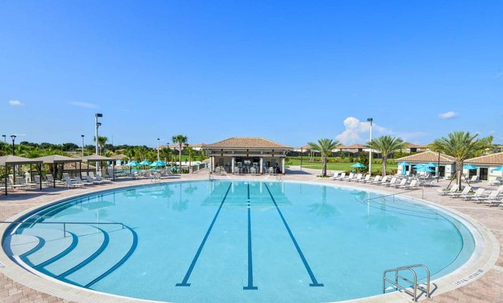 Champion Breeze - Image 3