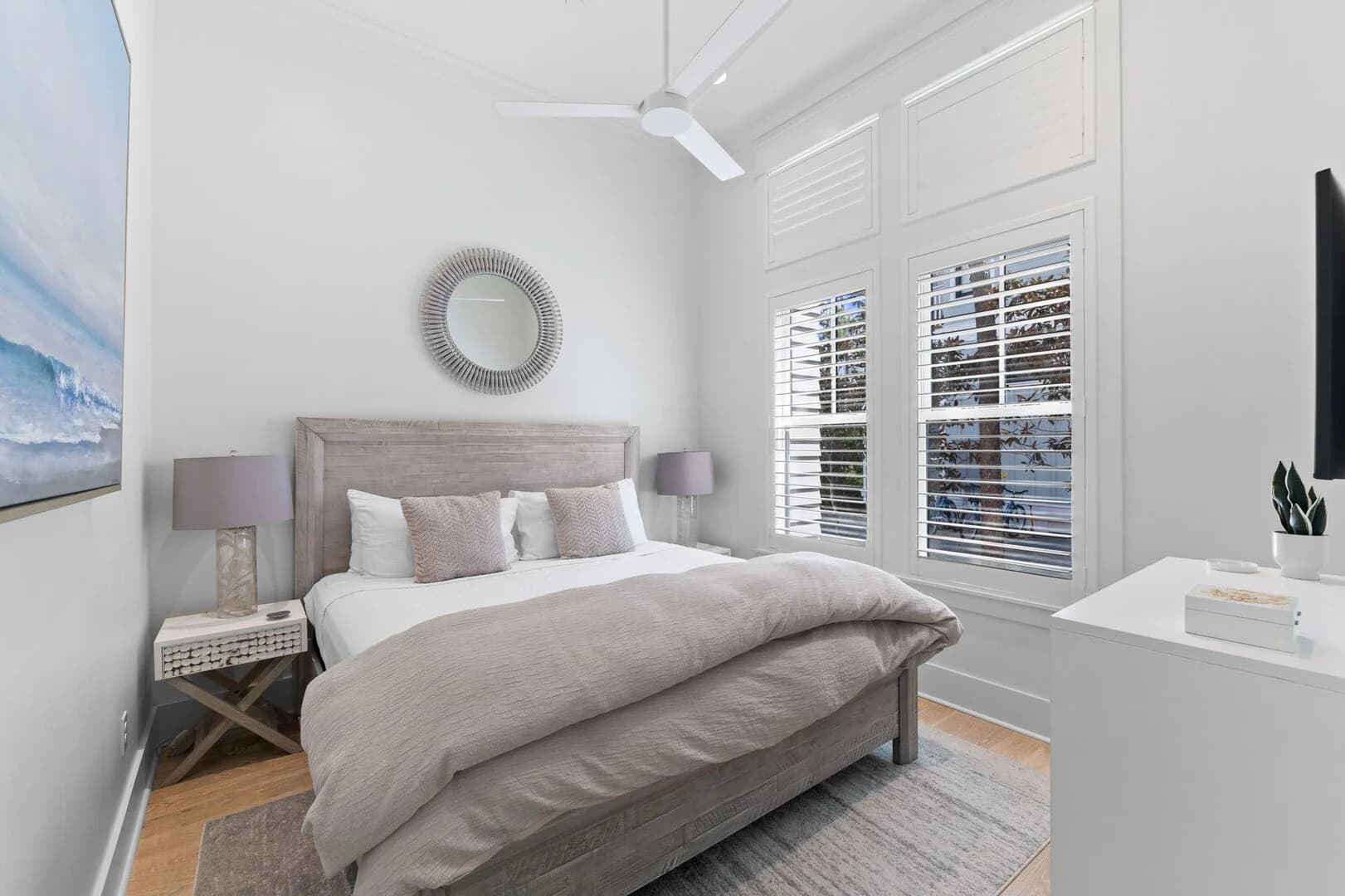 Sand Between Pines - Image 6