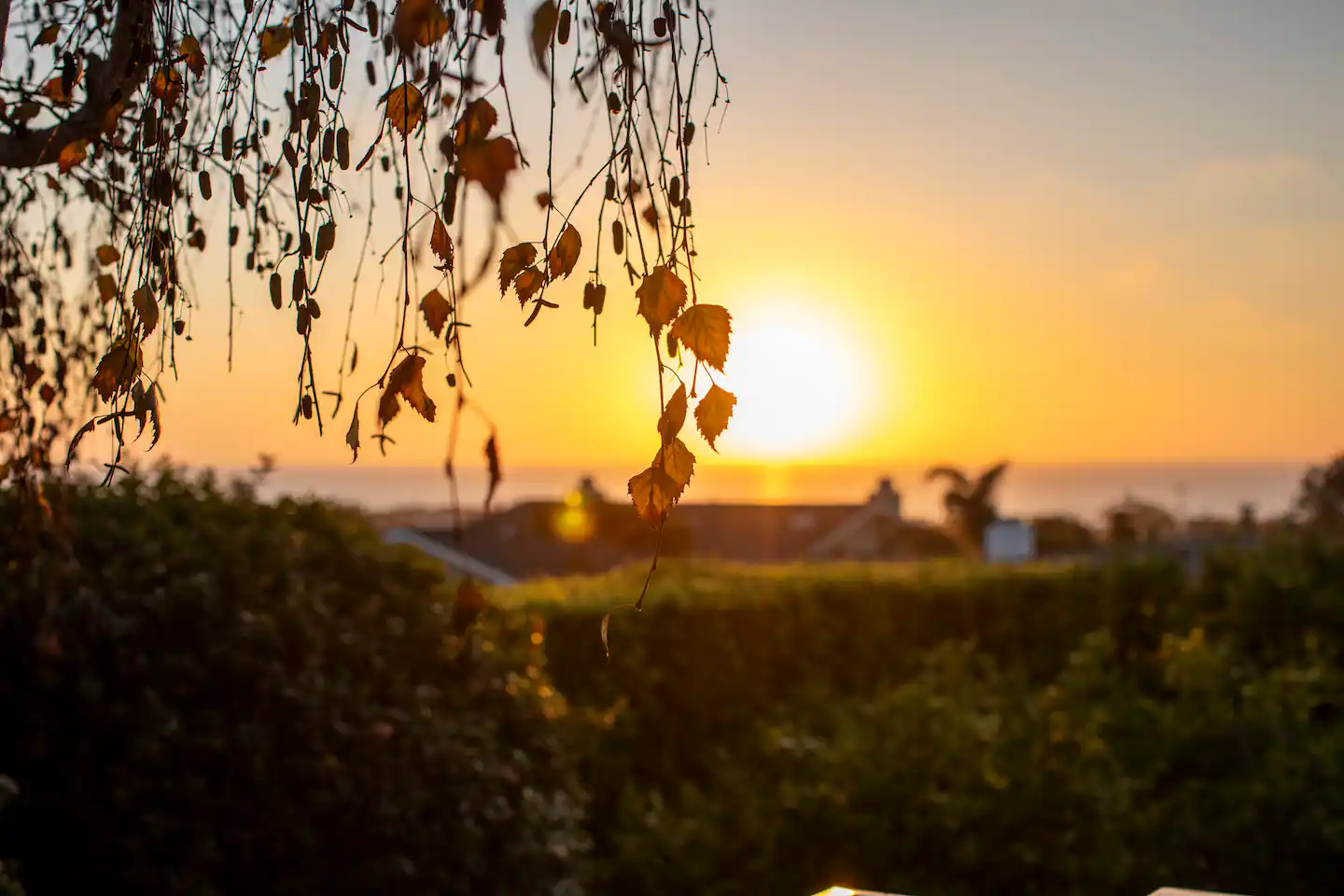 Solana House - Image 34