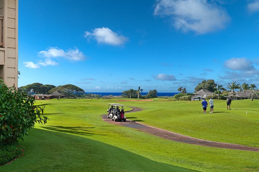 Pili Mai #6J - Image 8