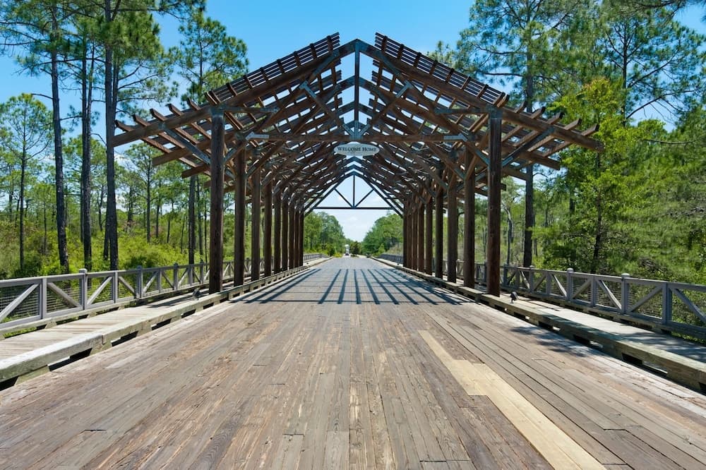 Octopus's Garden Naturewalk - Image 64