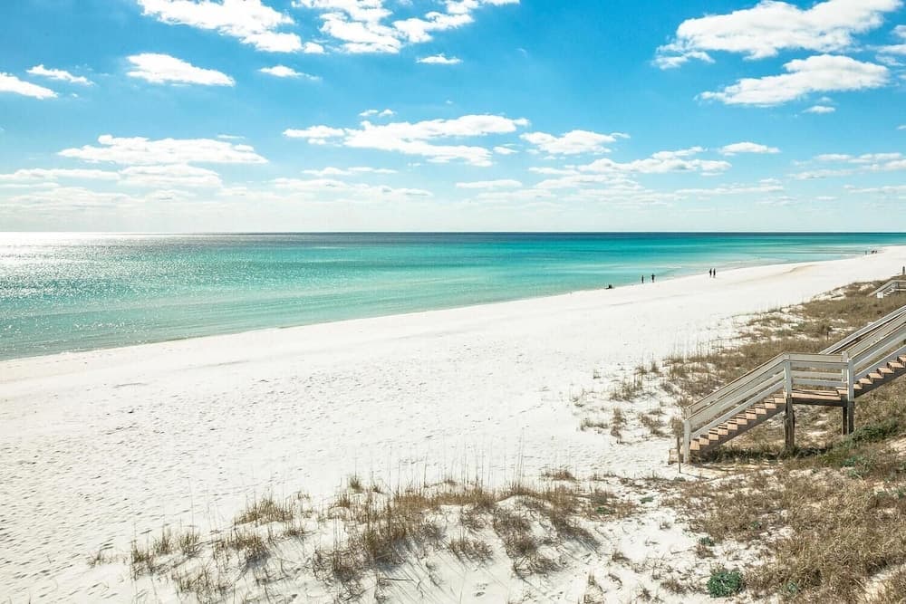 Octopus's Garden Naturewalk - Image 84