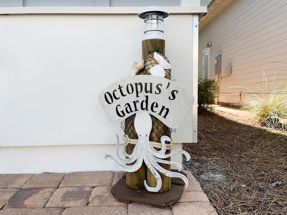 Octopus's Garden Naturewalk - Image 86