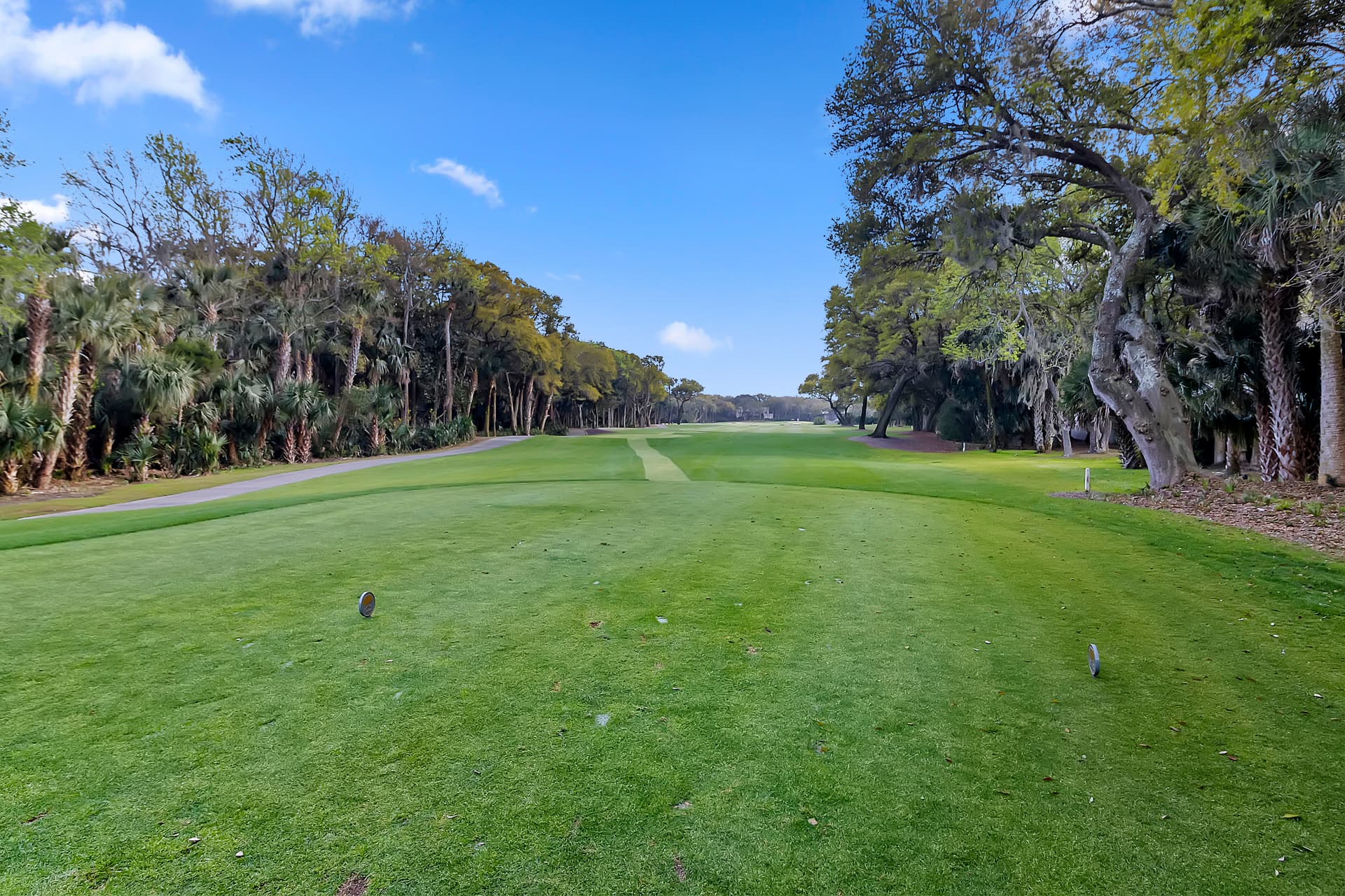 Ocean Green - Image 49