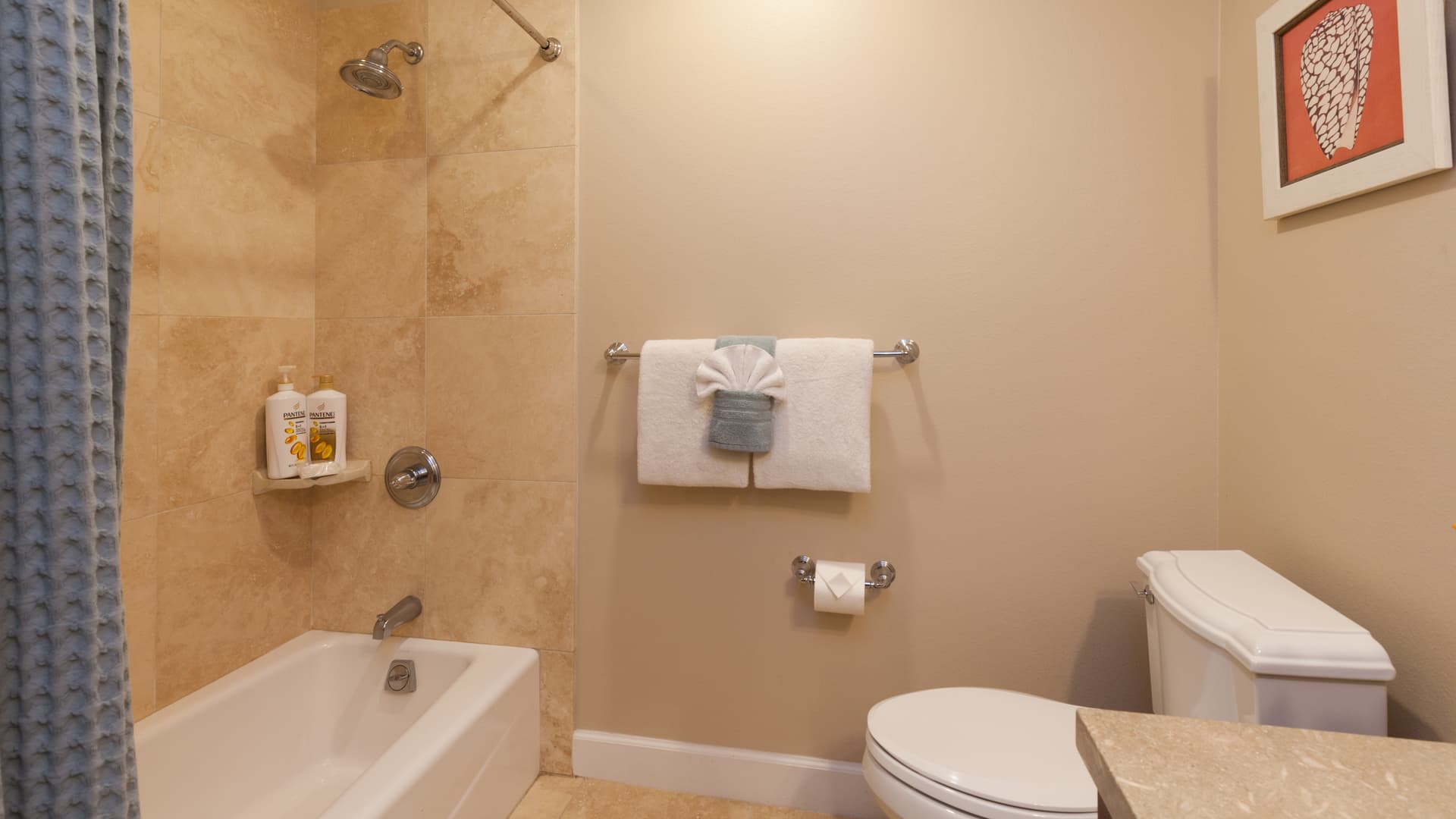 Ohana Spirit - Image 22