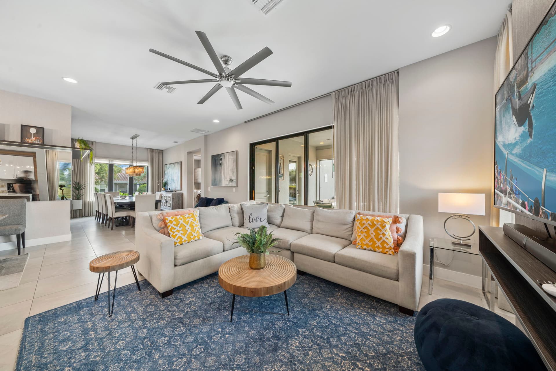 Homestead Juniper - Image 4