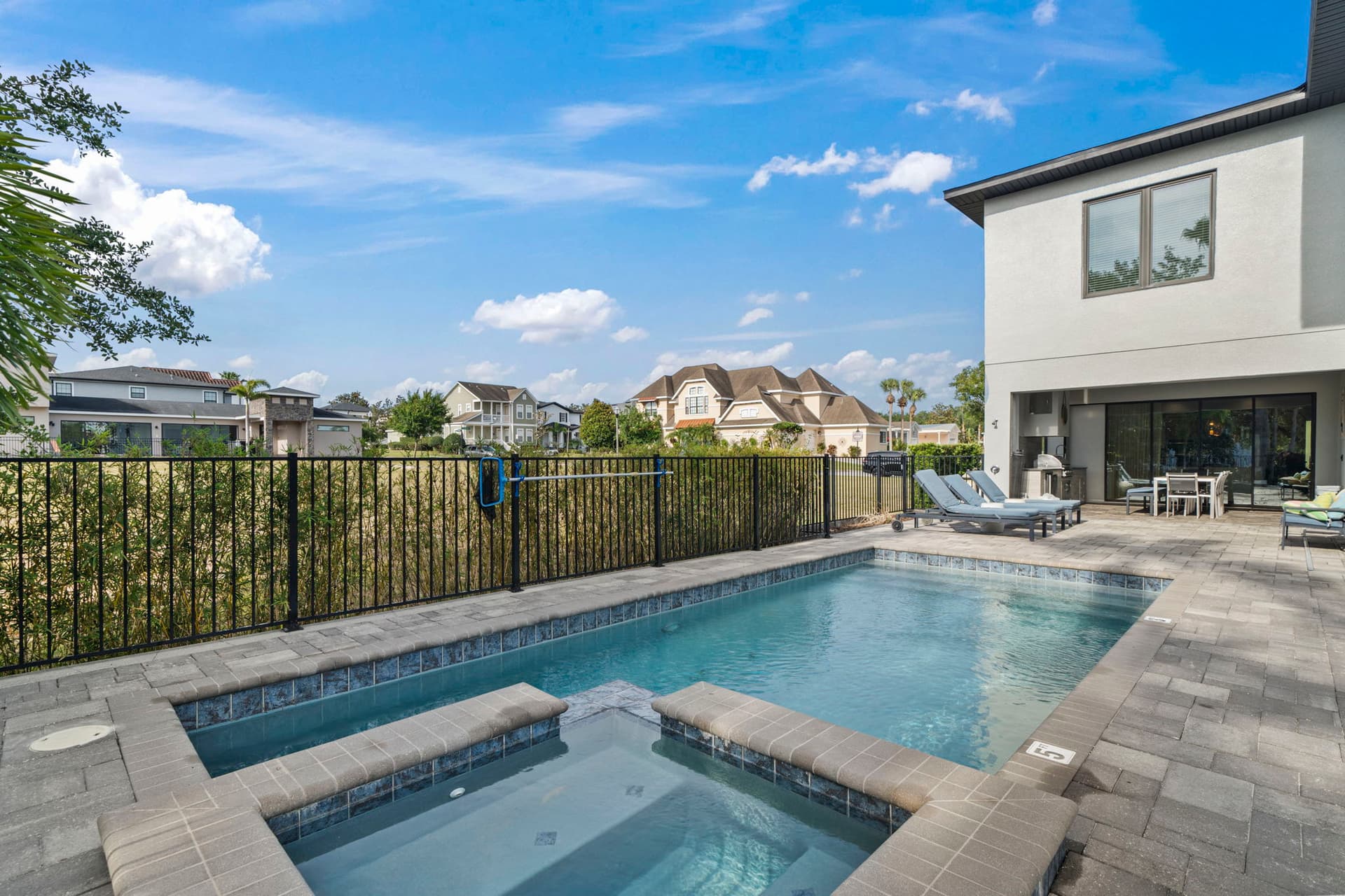 Homestead Juniper - Image 2