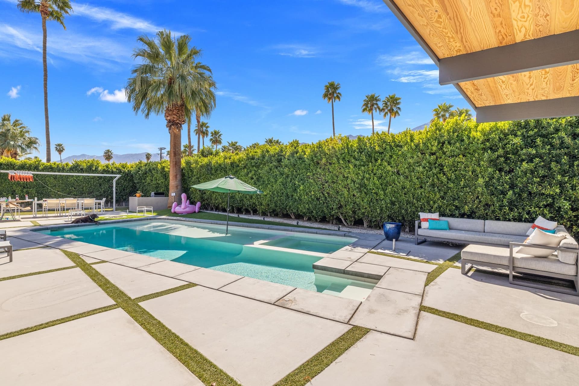 Orange Crush - Image 2