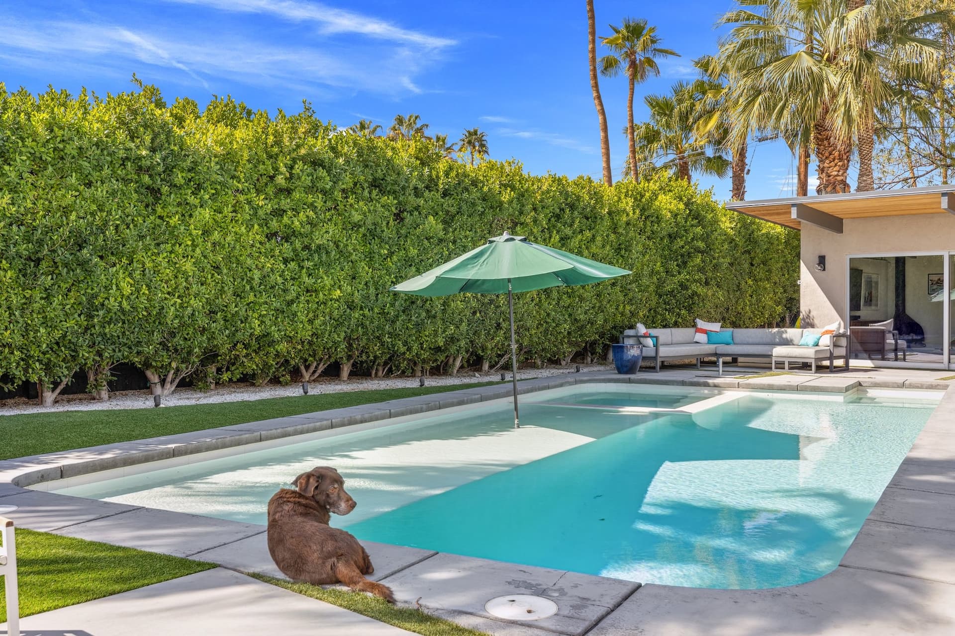 Orange Crush - Image 49