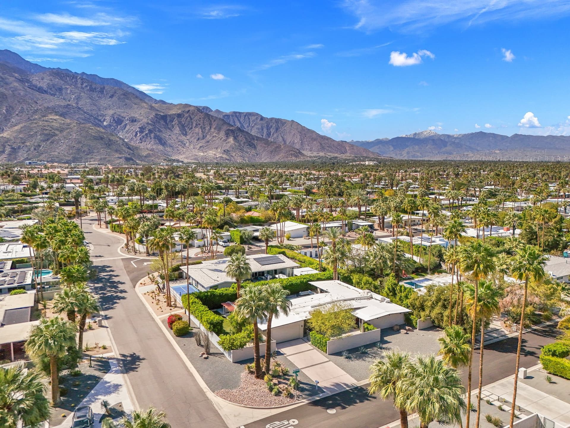 Orange Crush - Image 3