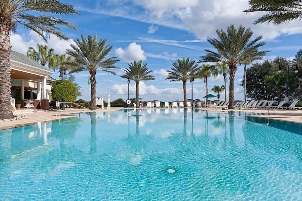 Polished Palms - Image 13