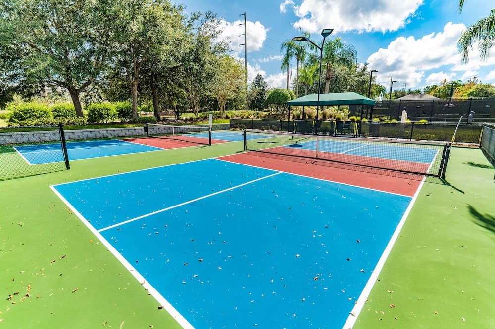 Polished Palms - Image 16