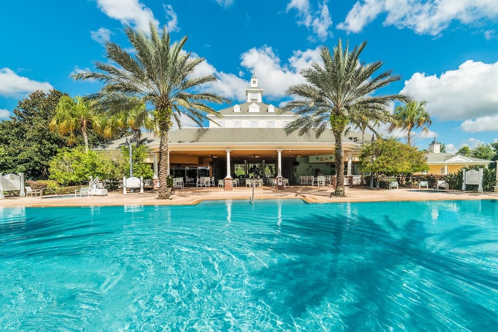 Polished Palms - Image 19