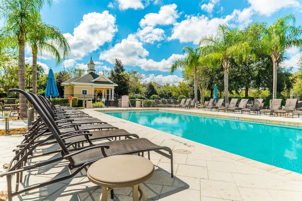 Polished Palms - Image 21