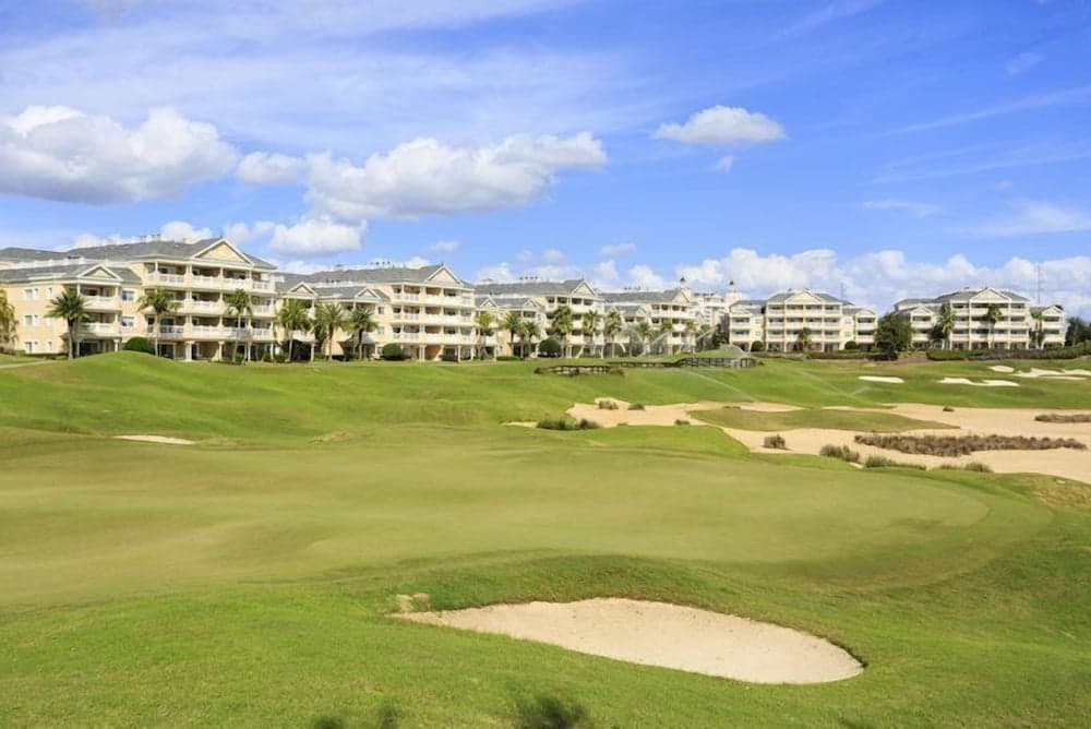 Polished Palms - Image 2