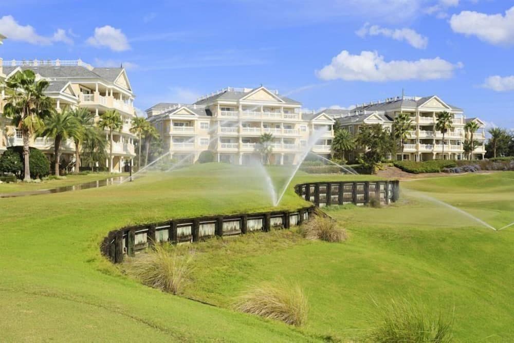 Polished Palms - Image 23