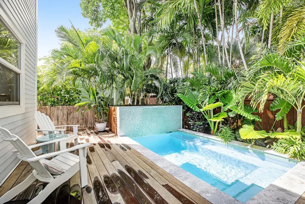 Let's Flamingo - Image 4