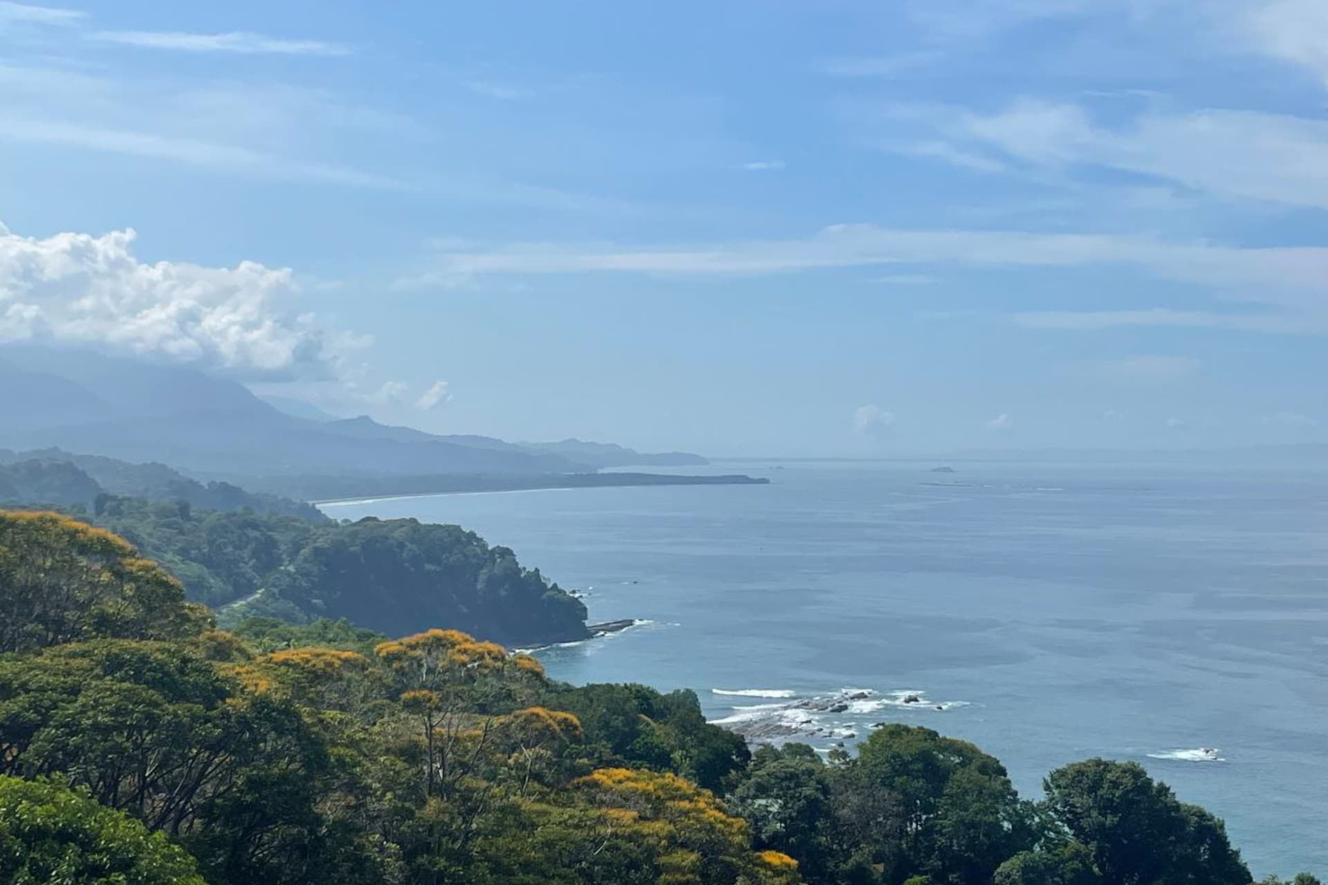 Casa Ballena Pearl - Image 37