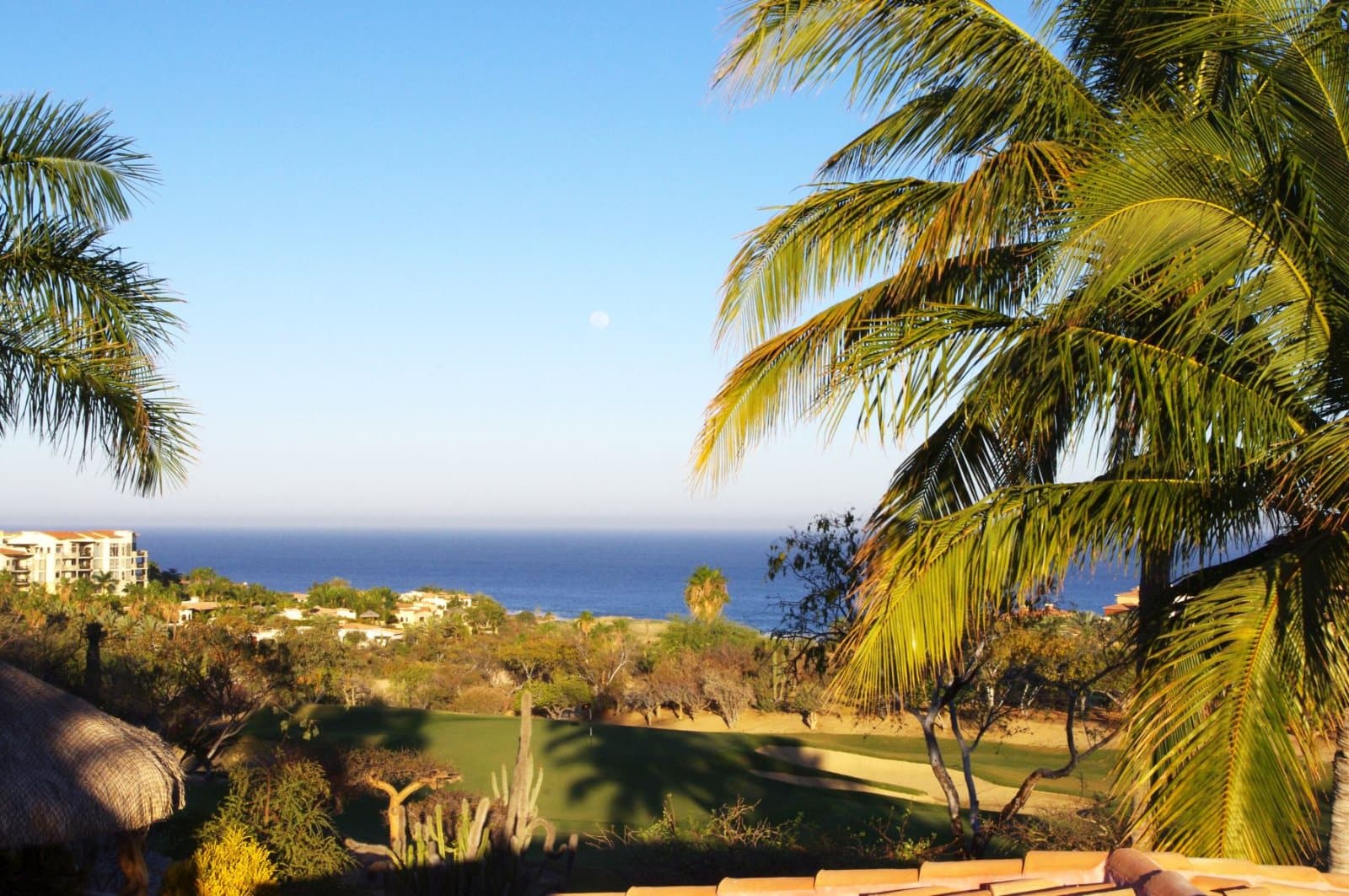 Tortuga Place - Image 79