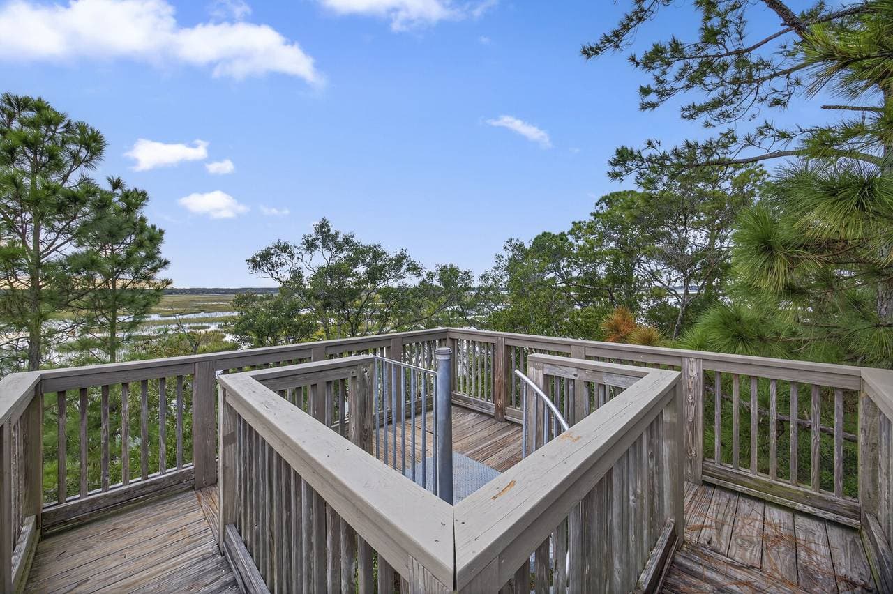 Marsh Hawk - Image 48