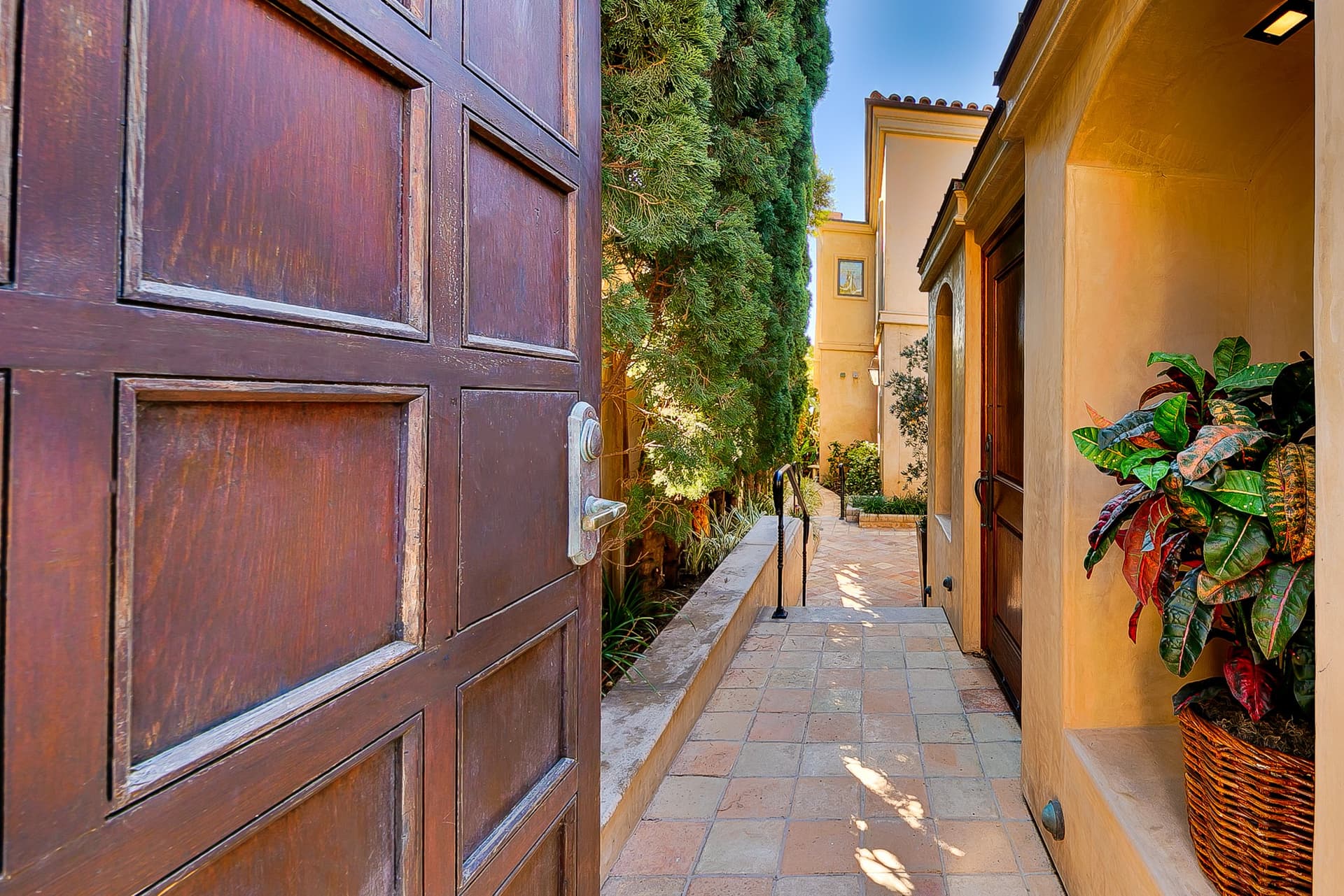 Pacific Paradise - Image 6