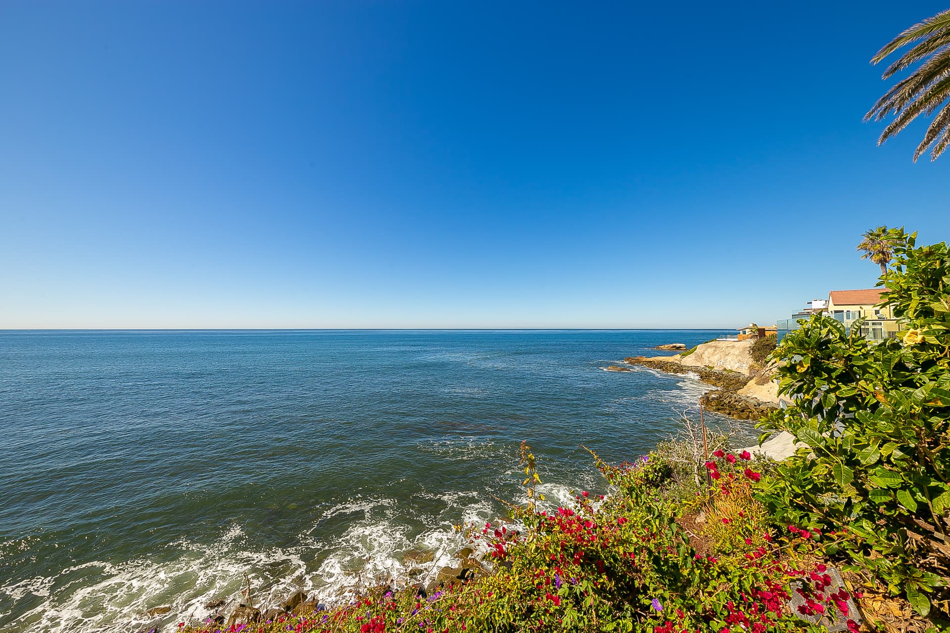 Pacific Paradise - Image 37