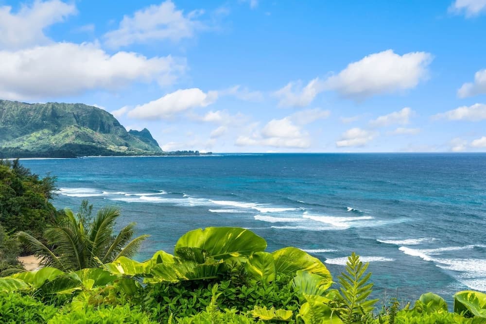 Pali Ke Kua #237 - Image 27