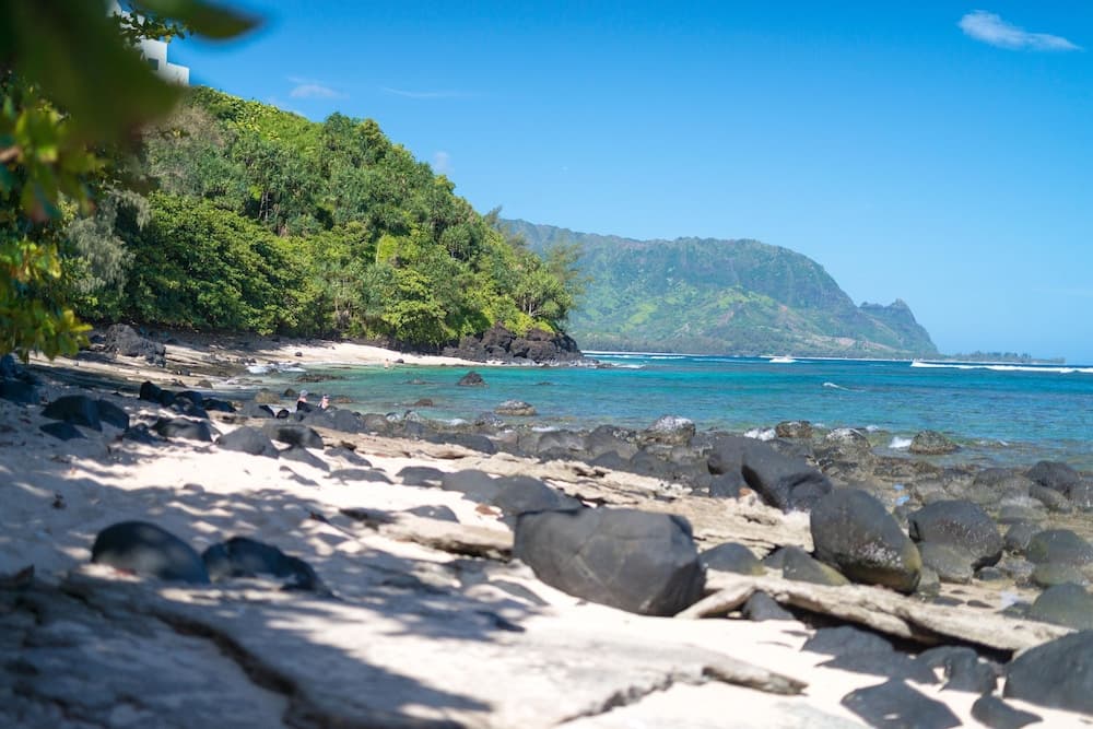 Pali Ke Kua #237 - Image 37