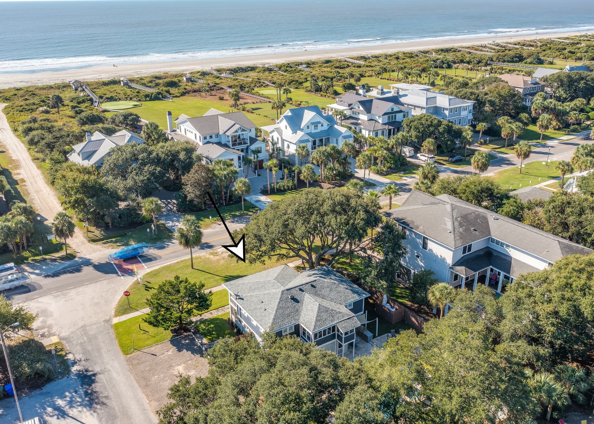 Seas The Day - Image 2