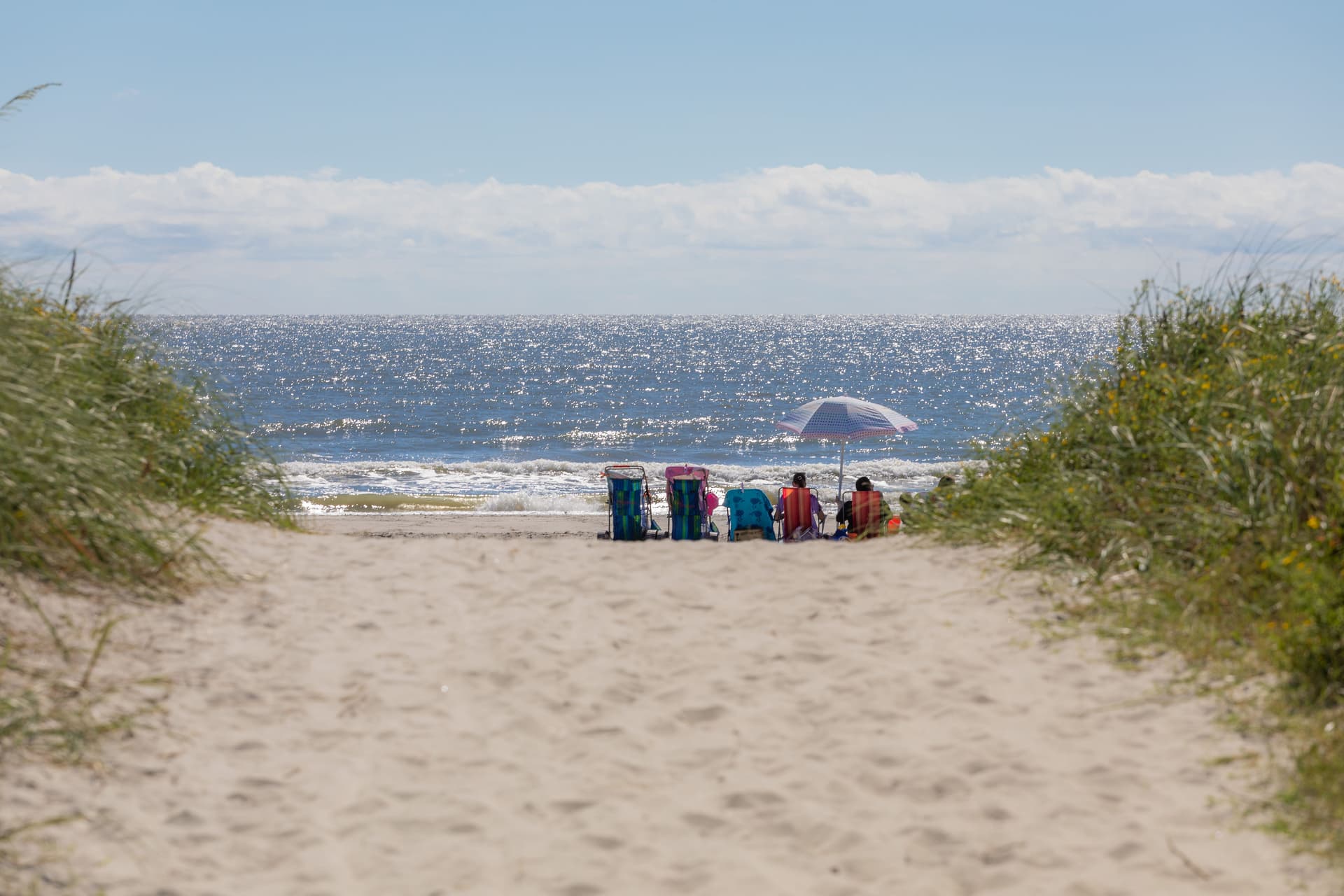 Seas The Day - Image 53