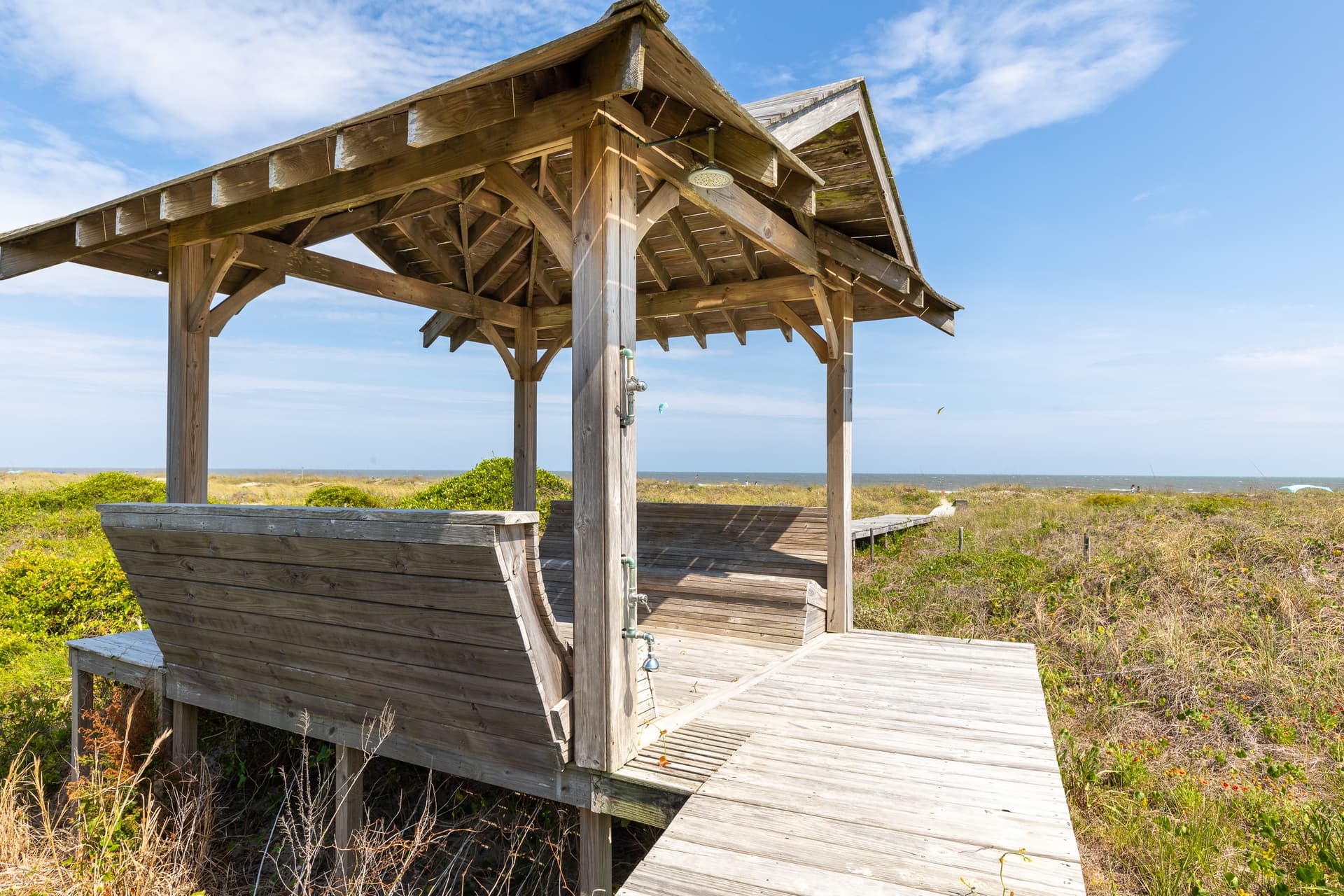 Sea Star - Image 115