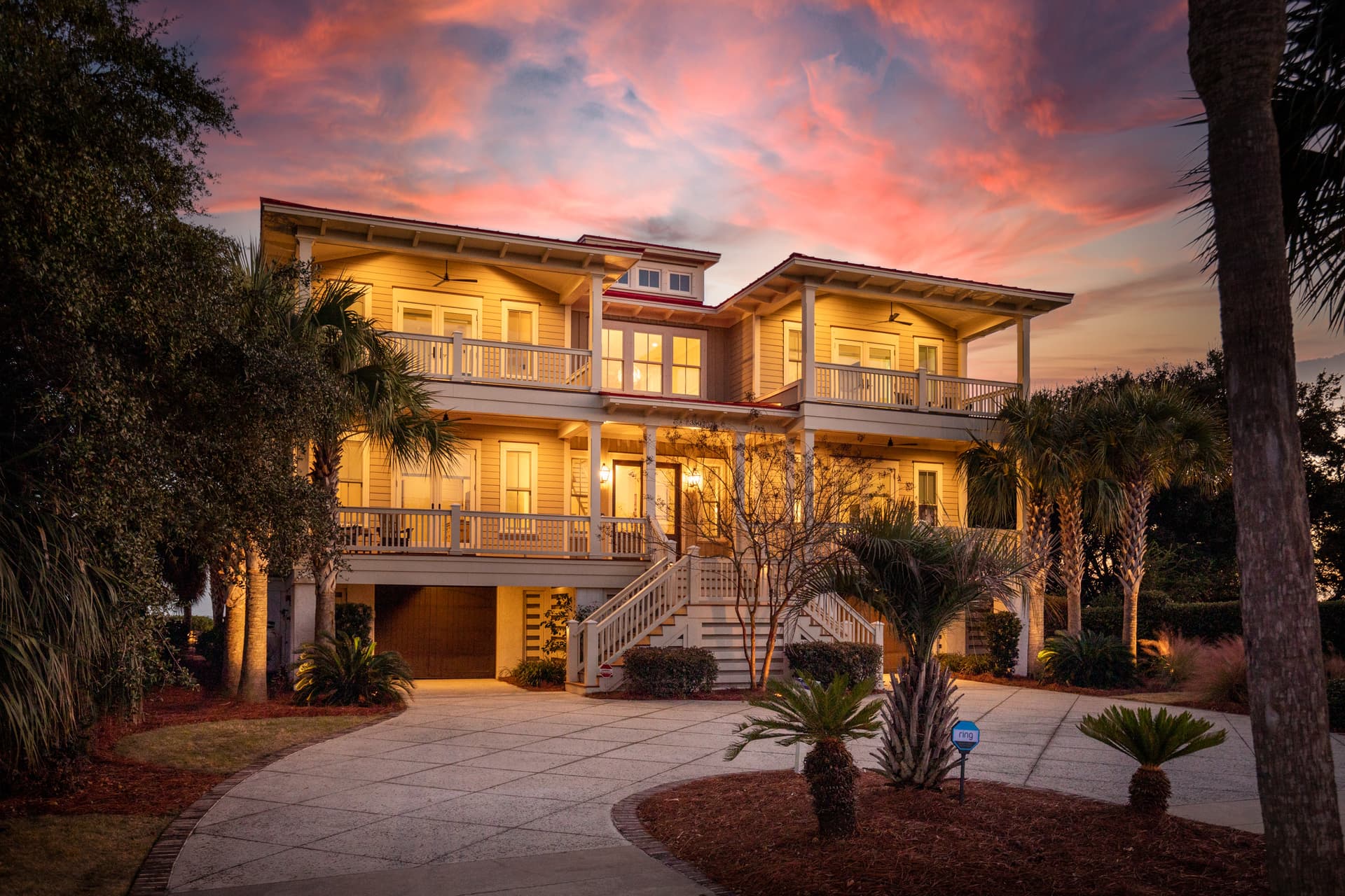 Sea Star - Image 122