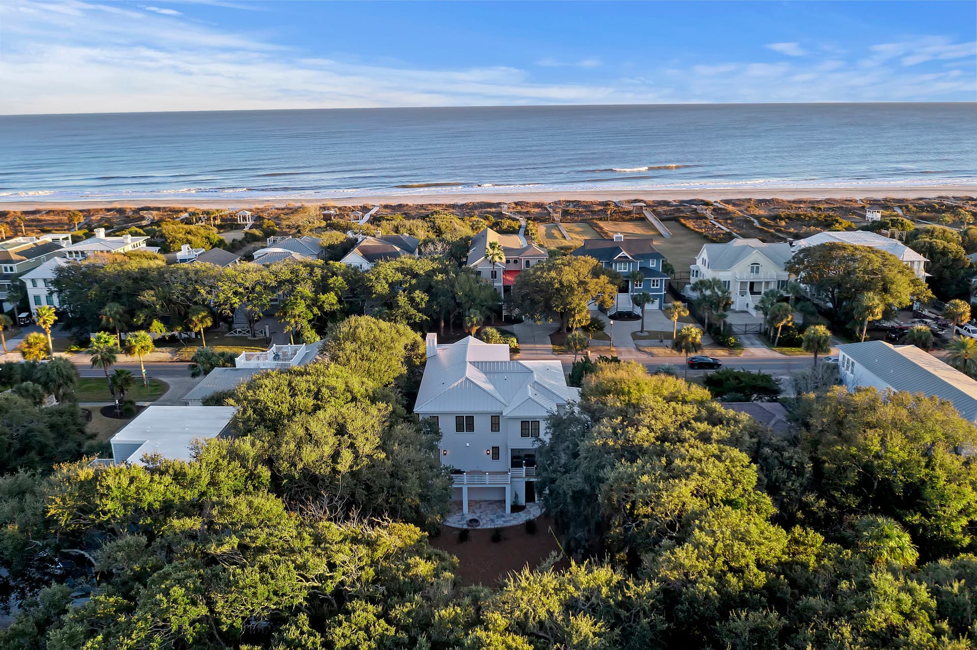 Coastal Palm Oasis - Image 3