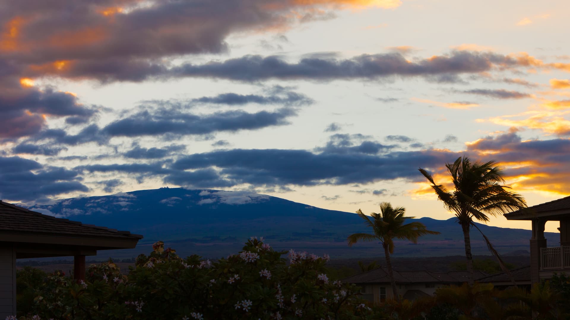 Paradise Garden Hale - Image 46