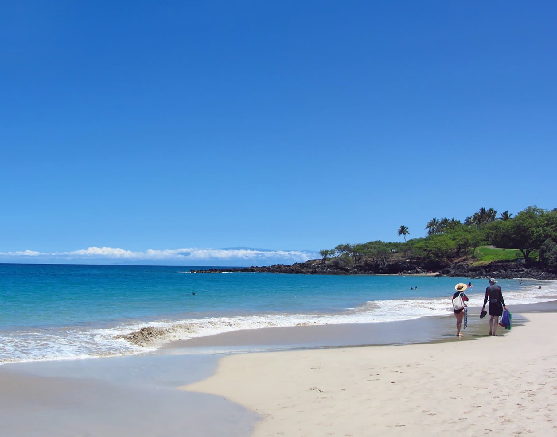 Paradise Garden Hale - Image 51