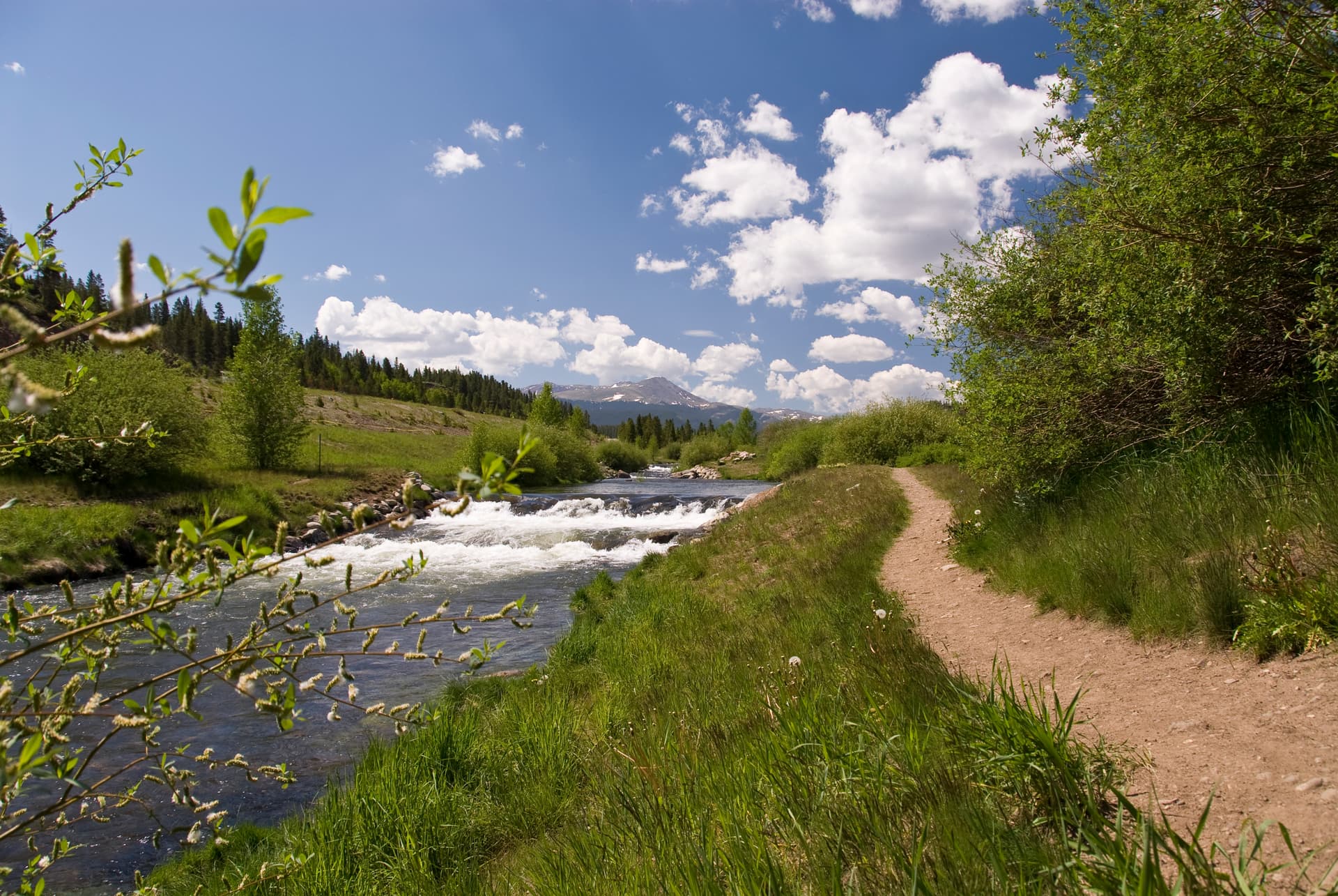 Hilltop Haven - Image 18