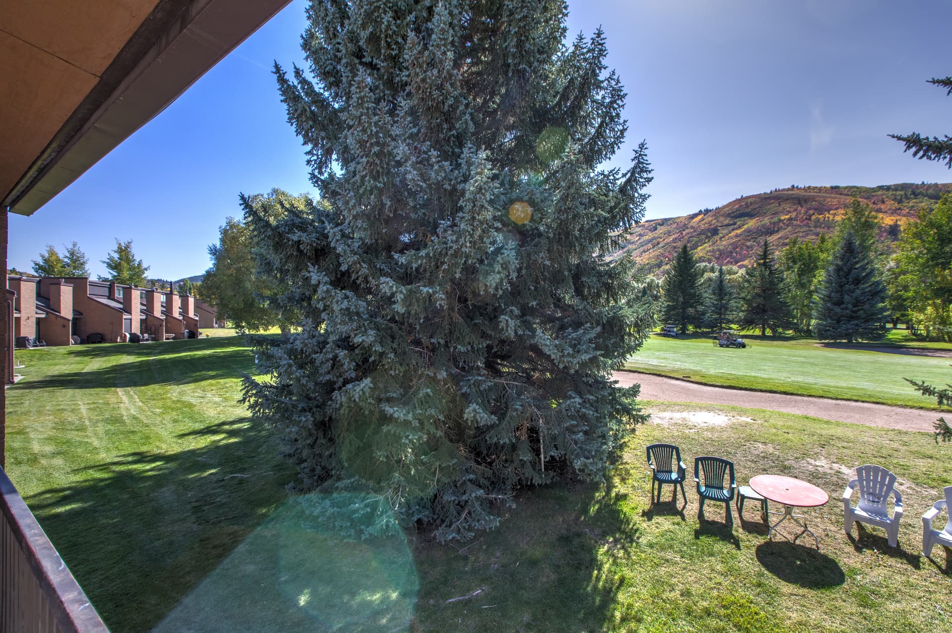 Captain Molly #1837 - Image 2