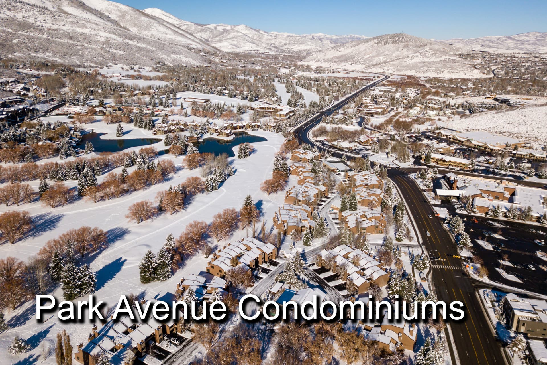 Captain Molly #1837 - Image 37