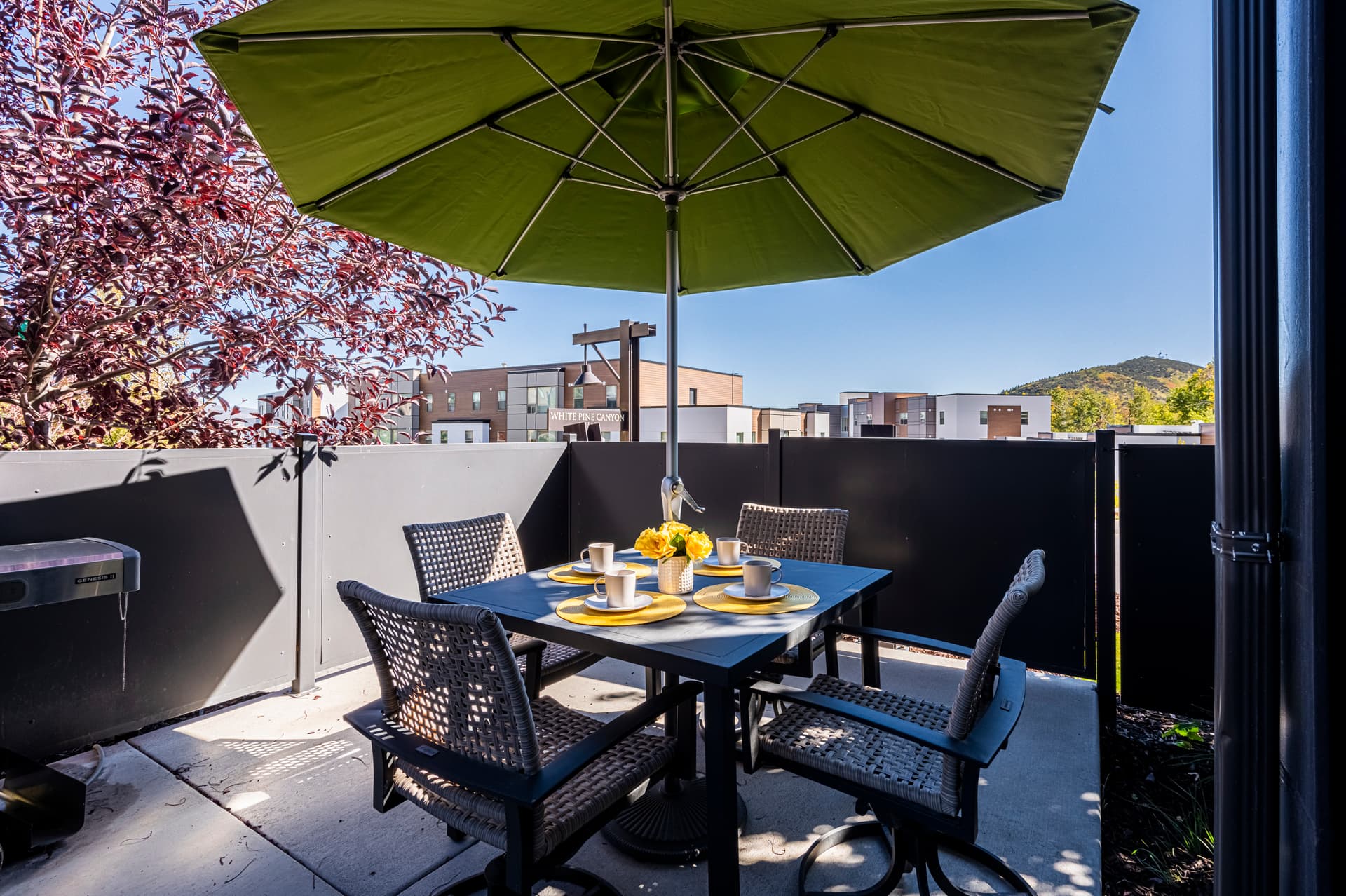 White Pine Canyon Village Villa #1884 - Image 42