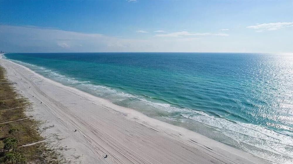 Pearl Flamingo - Image 30