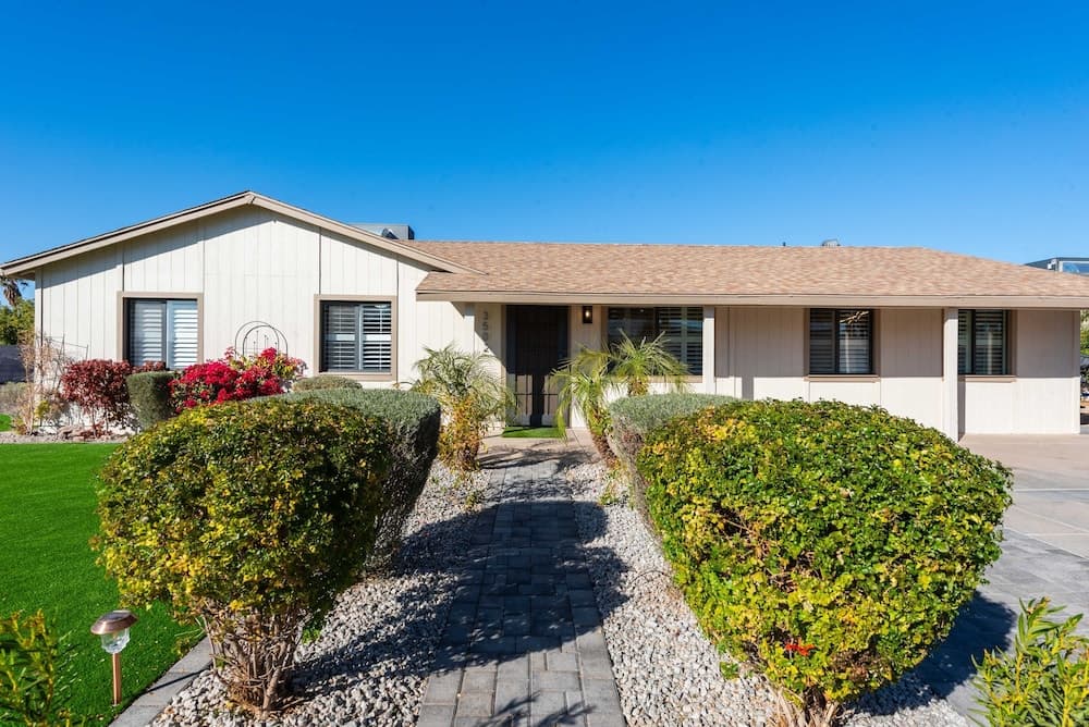 Sunny Phoenix - Image 58