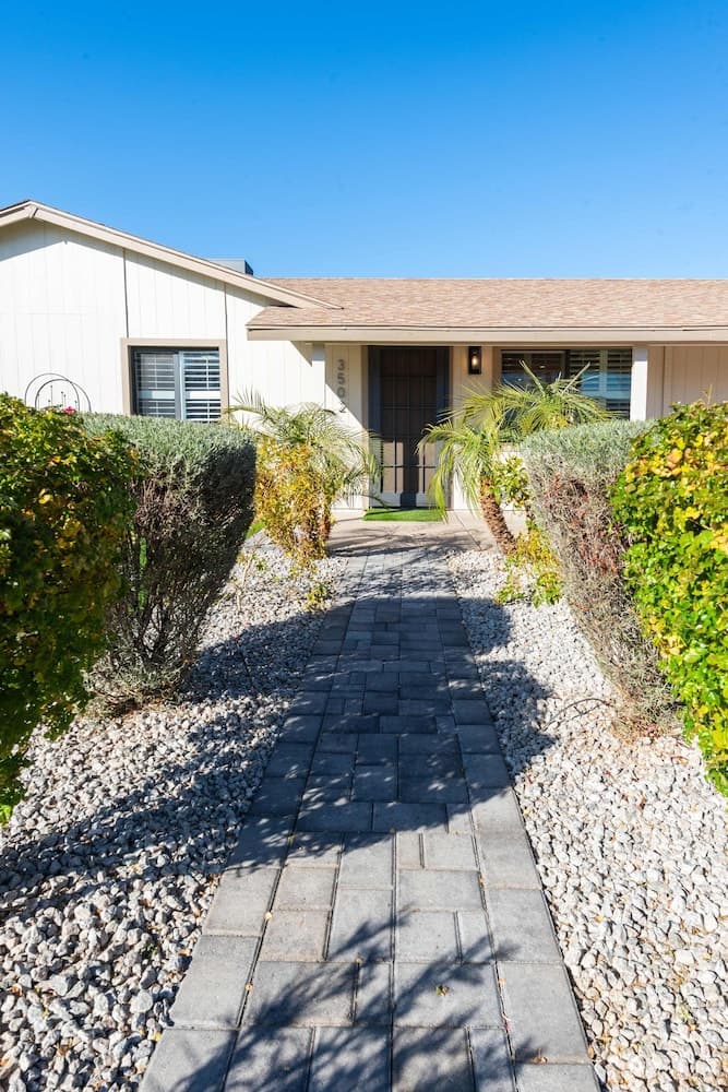 Sunny Phoenix - Image 72