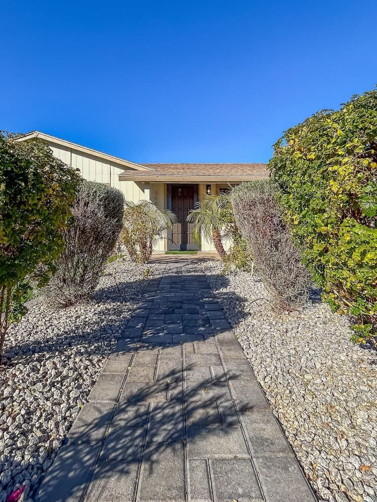 Sunny Phoenix - Image 75