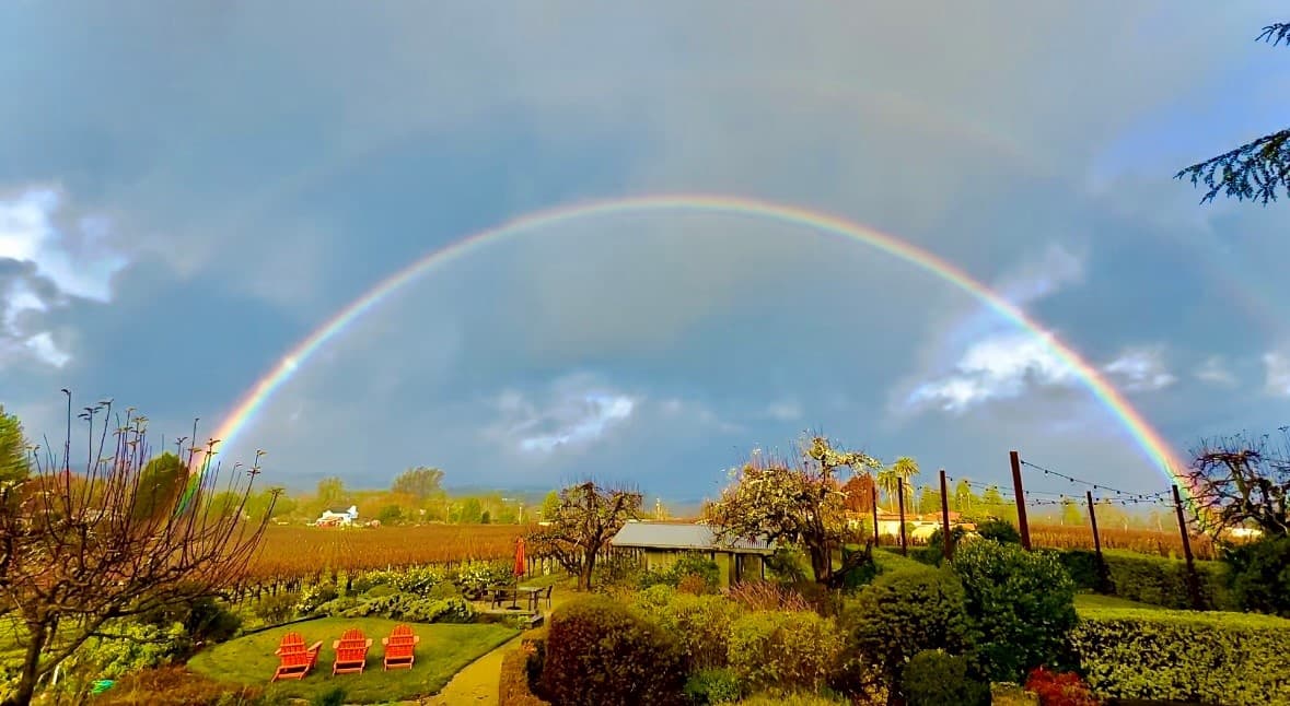 Dalya Estate - Image 66