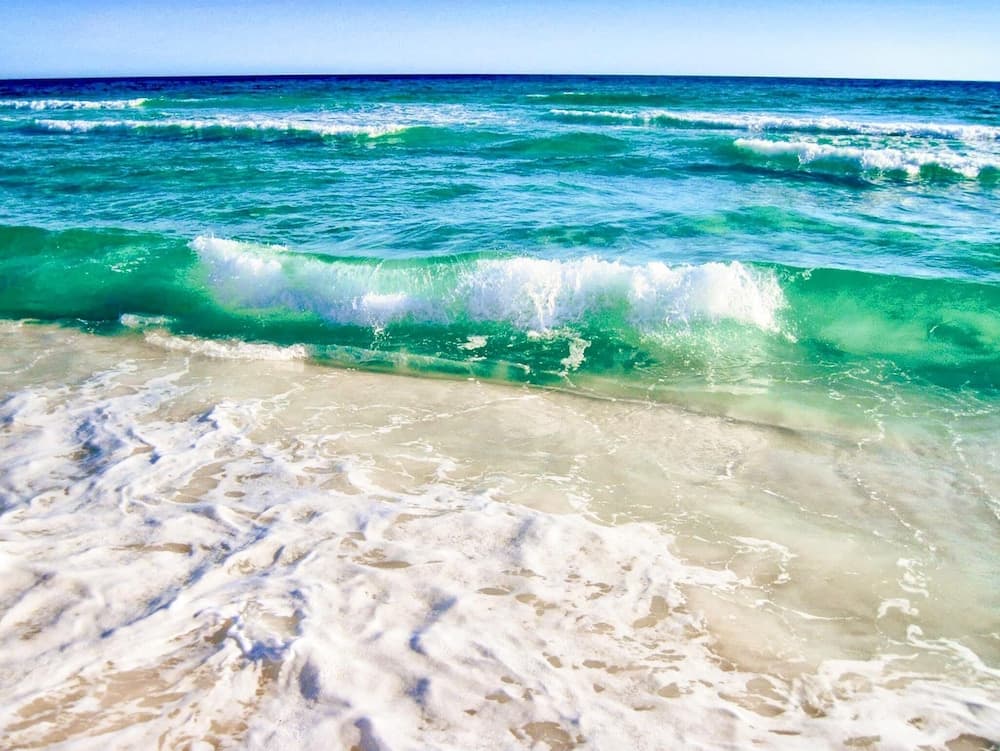 Harry's Beach House - Image 35